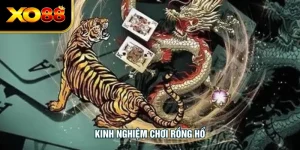 Kinh Nghiệm Chơi Rồng Hổ - Chiến Thuật Đối Kháng Lợi Hại