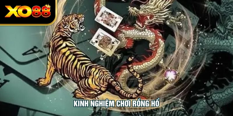 Kinh Nghiệm Chơi Rồng Hổ - Chiến Thuật Đối Kháng Lợi Hại
