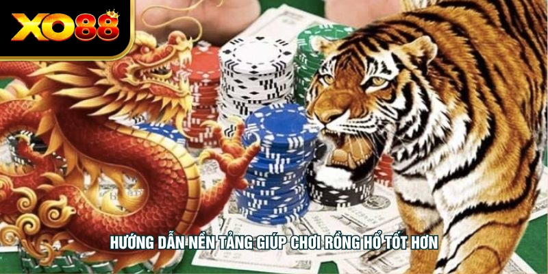 Hướng dẫn nền tảng giúp chơi rồng hổ tốt hơn