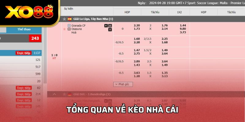 Tổng quan về kèo nhà cái