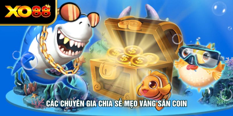Các chuyên gia chia sẻ mẹo vàng săn coin
