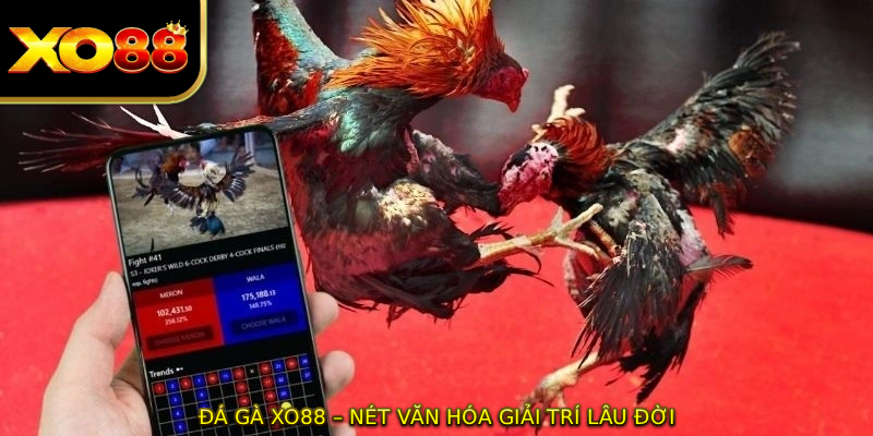 ĐÁ GÀ XO88 – Nét văn hóa giải trí lâu đời